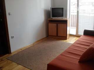 Отель Hotel Lovac Жабляк Номер-студио с балконом (для 3 взрослых)-1