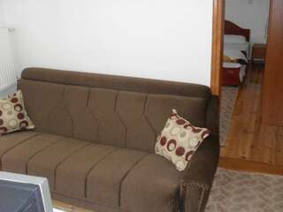 Отель Hotel Lovac Жабляк Номер-студио с балконом (для 3 взрослых)-7